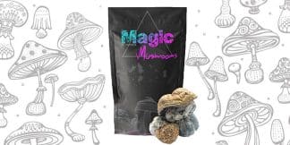 Code Blue Magic Mushrooms