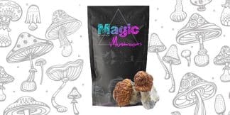 Texas Yellow Cap Mushrooms Magic Mushrooms