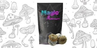 Avalanche Magic Mushrooms