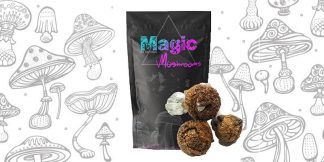 Vietnamese Magic Mushrooms