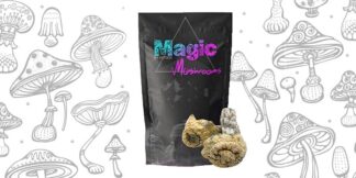 Albino El Dragon Magic Mushrooms