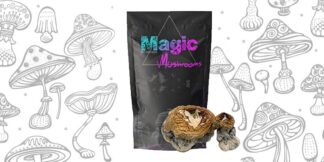 Hillbilly Pumpkin Magic Mushrooms
