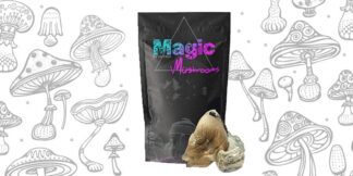 Golden Penis Envy Magic Mushrooms