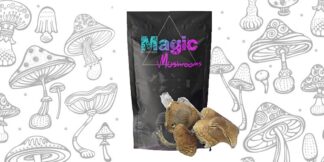 Brazilian Mushrooms