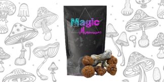 Trans Envy Magic Mushrooms